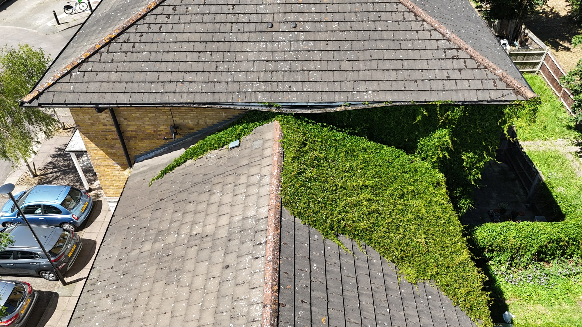 Roof Cleaning