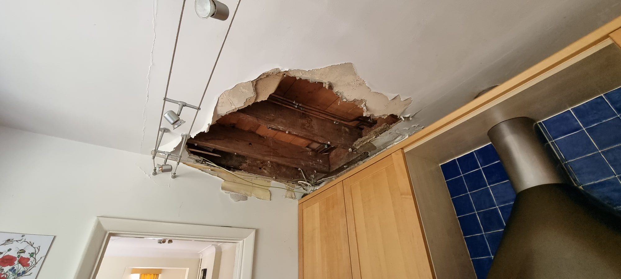 Water Damage Surveys